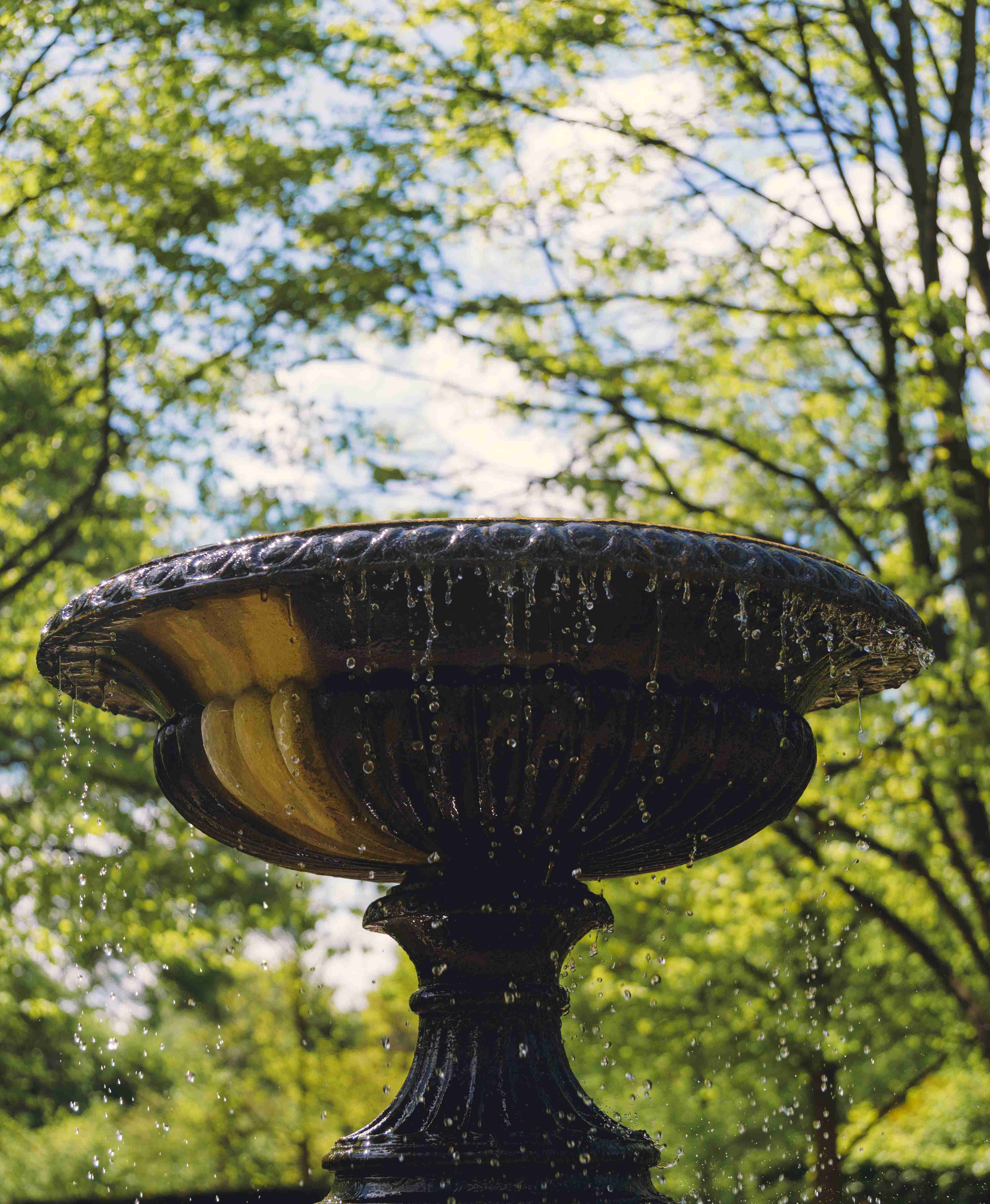 Fountain Top